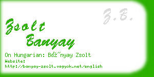 zsolt banyay business card